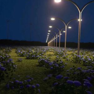 老阿姨露沟色图
