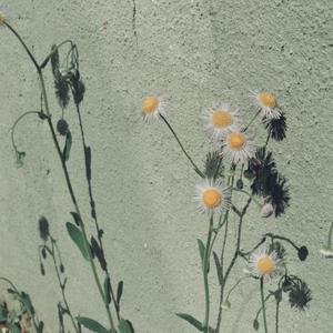 老阿姨露沟色图
